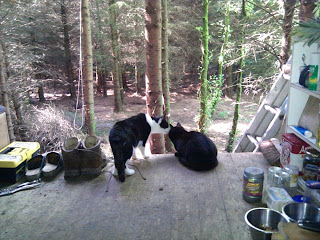 Ivan and Penny in the Summer Palace