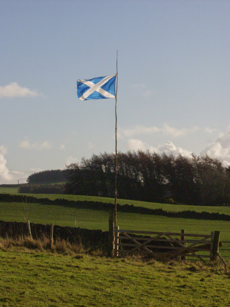 A saltire flying over my croft