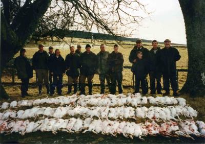 Mountain hares killed on a single day on  a single estate in the Angus glens